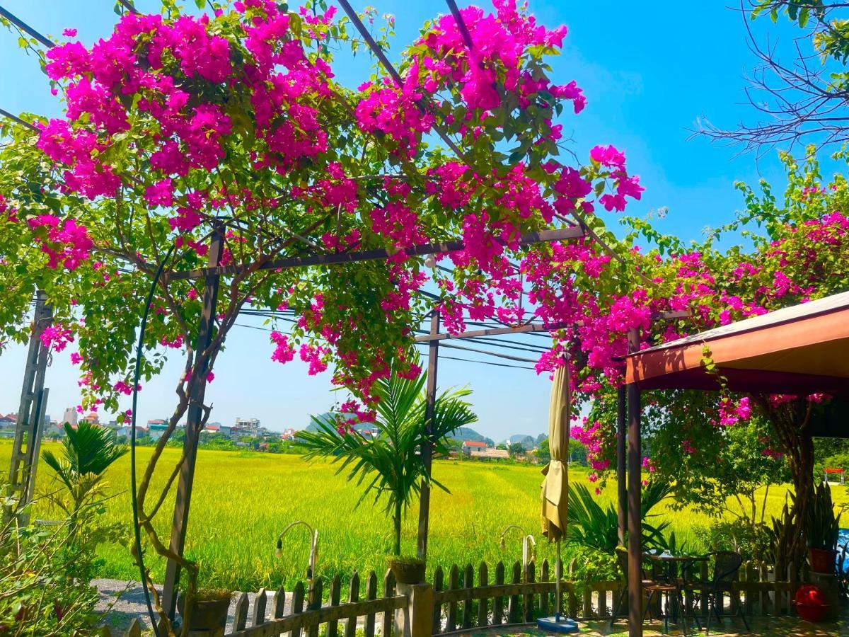 Tam Coc Eco Field Homes Ninh Binh Exterior foto